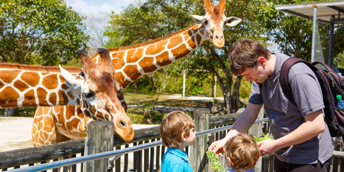 zoo attractions naples and fort myers